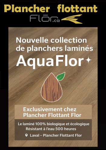 Nouveauté !!